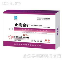 止痢金針 獸藥市場(chǎng)新寵，招商火爆引關(guān)注